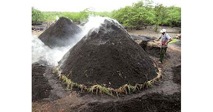 Vertex Activated Carbon Production