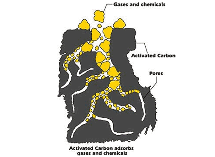 Vertex Activated Carbon Sorption Schematic